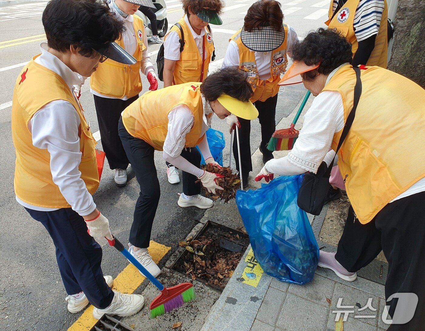 본문 이미지 - 대한적십자사 서울지사는 지난달 30일 서울 영등포구 도림동 주민센터 일대에서 '수해예방 빗물받이 청소 및 안전 플로깅' 캠페인을 진행했다고 3일 밝혔다.(대한적십자사 서울지사 제공)