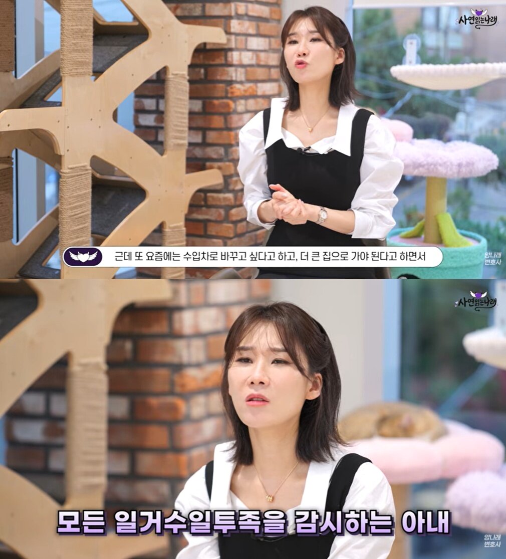 본문 이미지 - 유튜브 갈무리