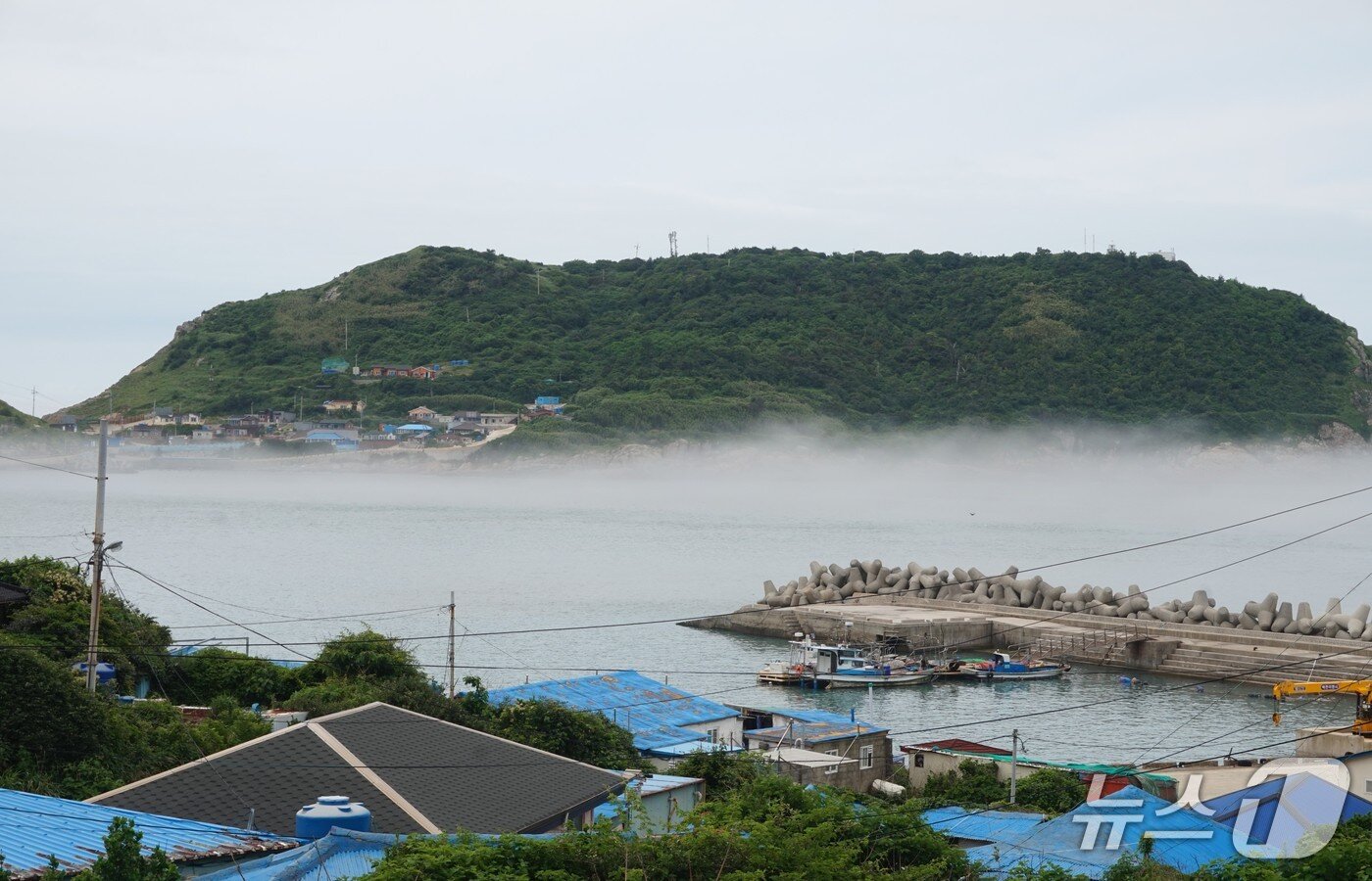 본문 이미지 - 맹골도 선착장 건너편으로 해무가 짙게 낀 죽도가 보인다. 2026.7.3 뉴스1 ⓒ News1 조영석 기자 