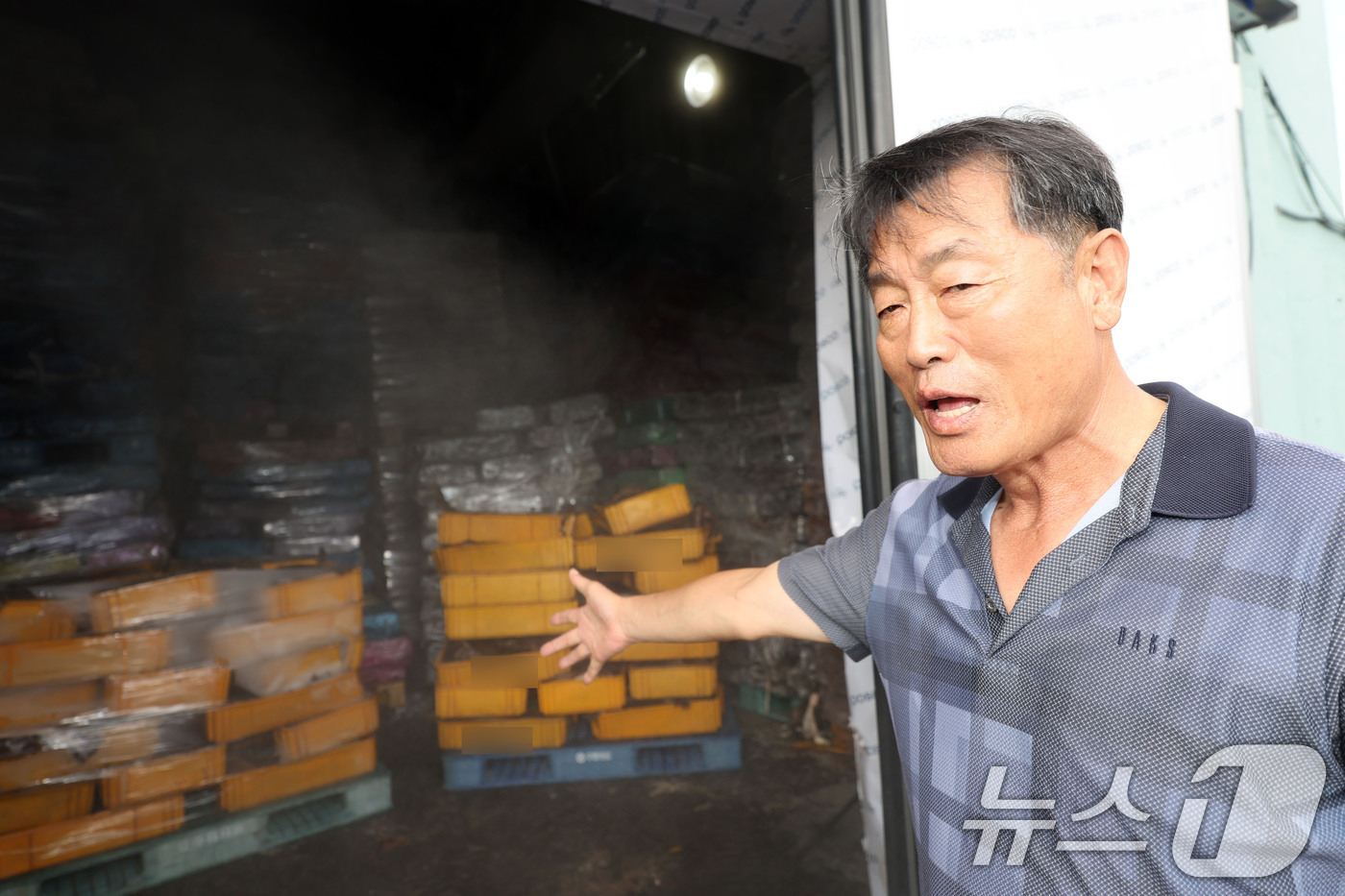 (전남광주=뉴스1) 박지현 기자 = 30일 전남광주 완도군의 한 넙치 양식장에서 김재홍 대표가 전날 고수온으로 폐사한 넙치를 보관 중인 냉동창고를 보여주고 있다. 2026.7.30 …