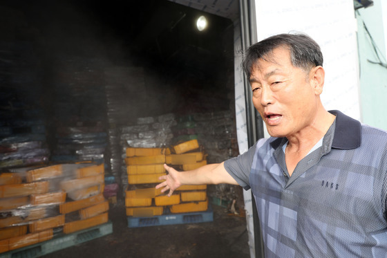 폐사한 넙치 가득한 냉동창고