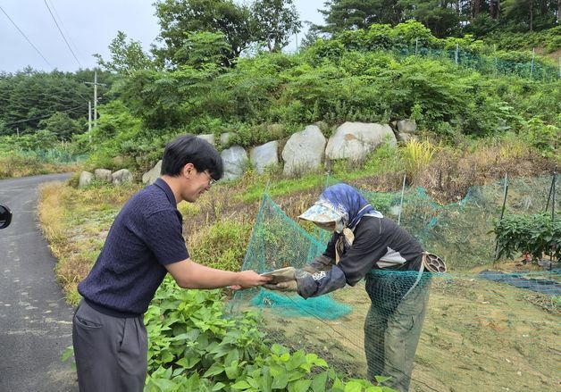 "낮엔 멈추세요"…강원 지자체 '사람 잡는 폭염'에 위험군 점검 잰걸음
