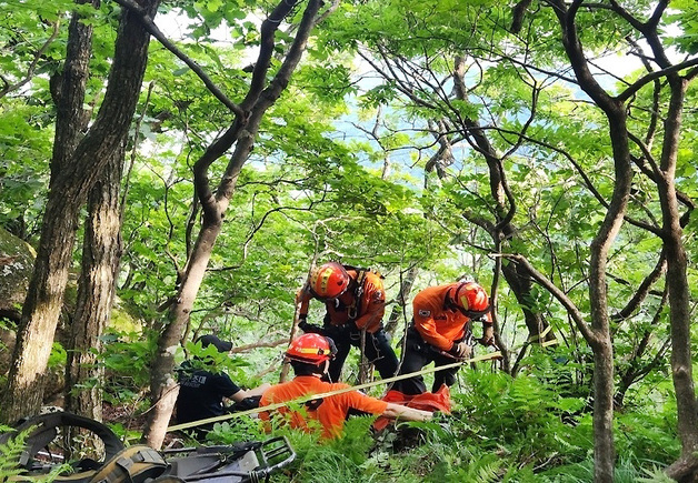 많이 본 뉴스