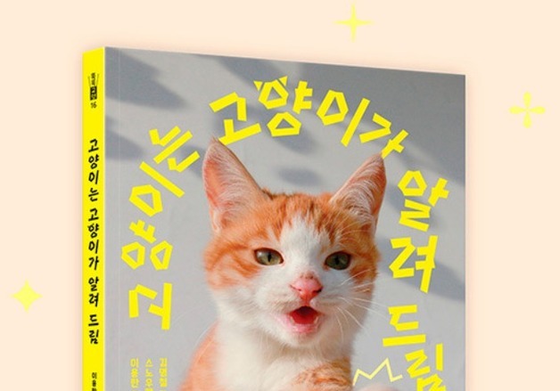 이용한 작가 '고양이는 고양이가 알려드림' 북펀드 진행…8월 출간