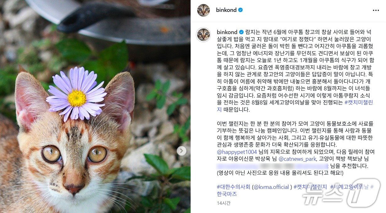 본문 이미지 - 이용한 작가 인스타그램 ⓒ 뉴스1