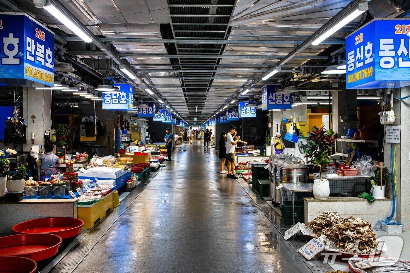 본문 이미지 - 바다의 맛을 고르는 즐거움, 김포시 '대명항'.(경기관광공사 제공. 재판매 및 DB금지)/뉴스1