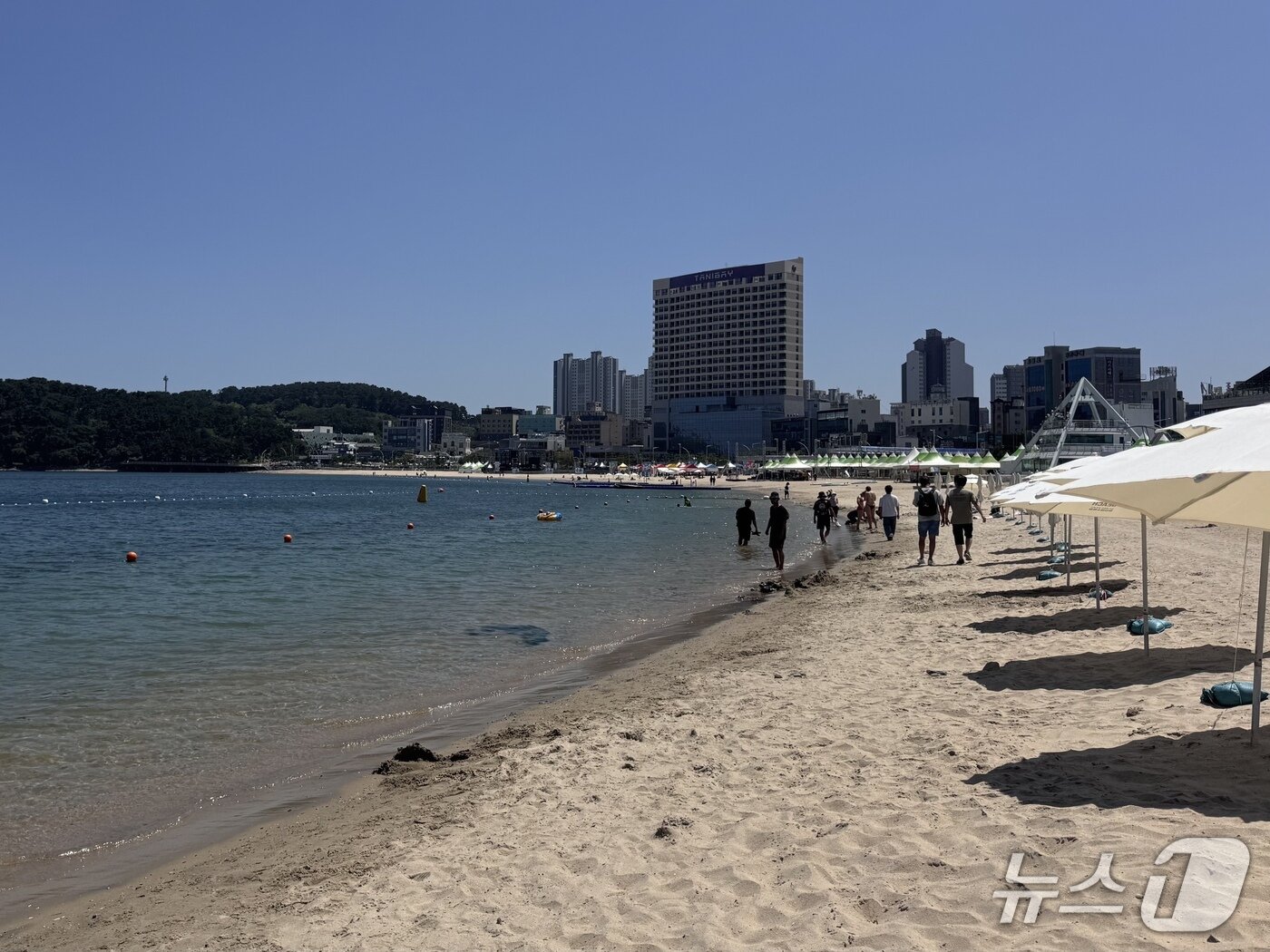 본문 이미지 - 31일 폭염경보가 발효 중인 울산 동구 일산해수욕장에 시민들이 해수욕을 즐기고 있다.2026.07.31.ⓒ 뉴스1 김세은 기자