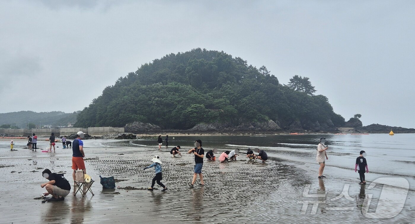 본문 이미지 - 4일 전북 부안군 변산해수욕장을 찾은 피서객들이 조개를 잡으며 주말을 보내고 있다. 2026.7.4 ⓒ 뉴스1 강교현 기자