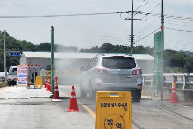 "예천 구제역 확산 막아라"…경북, 83만9000두 백신 접종