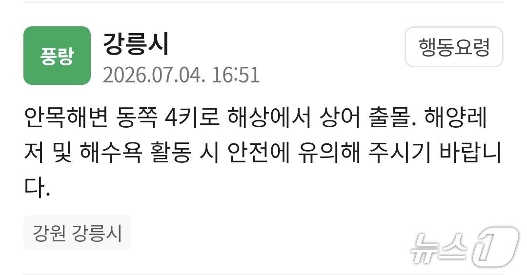 본문 이미지 - 지난 4일 상어 출몰에 따른 강릉시가 발송한 재난안전문자.(재난안전문자 캡처. 재판매 및 DB 금지) 2026.7.5/뉴스1