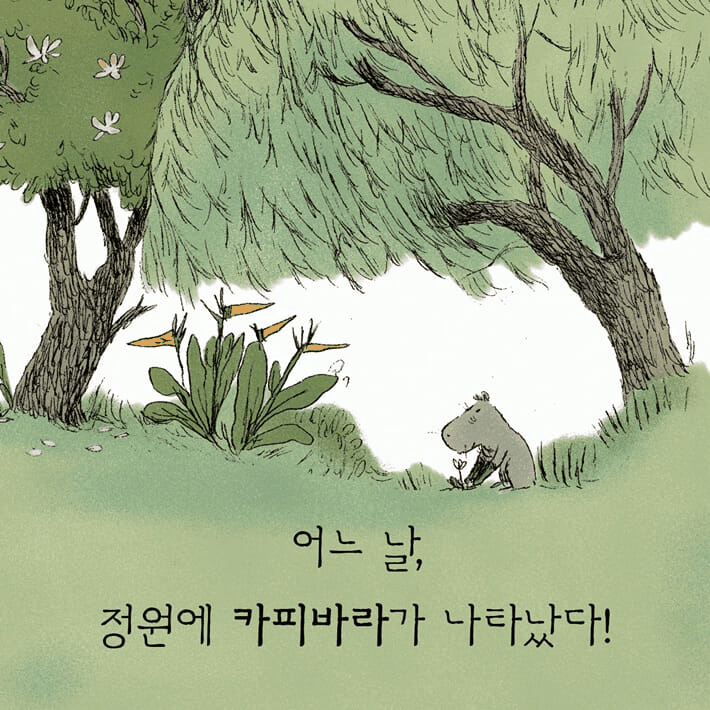 본문 이미지 - '세상은 바쁘고 나는 카피바라'는 속도와 생산성에 밀린 일상에서 느림과 수용이 어떤 태도인지 카피바라 '카피'와 브루노의 대화로 짚는다. 저자 로렌자 베르나르디는 루치아 카를리니의 그림과 함께 스토아철학, 불교, 도가 사상이 겹치는 평온의 감각을 일상 장면으로 풀어낸다.