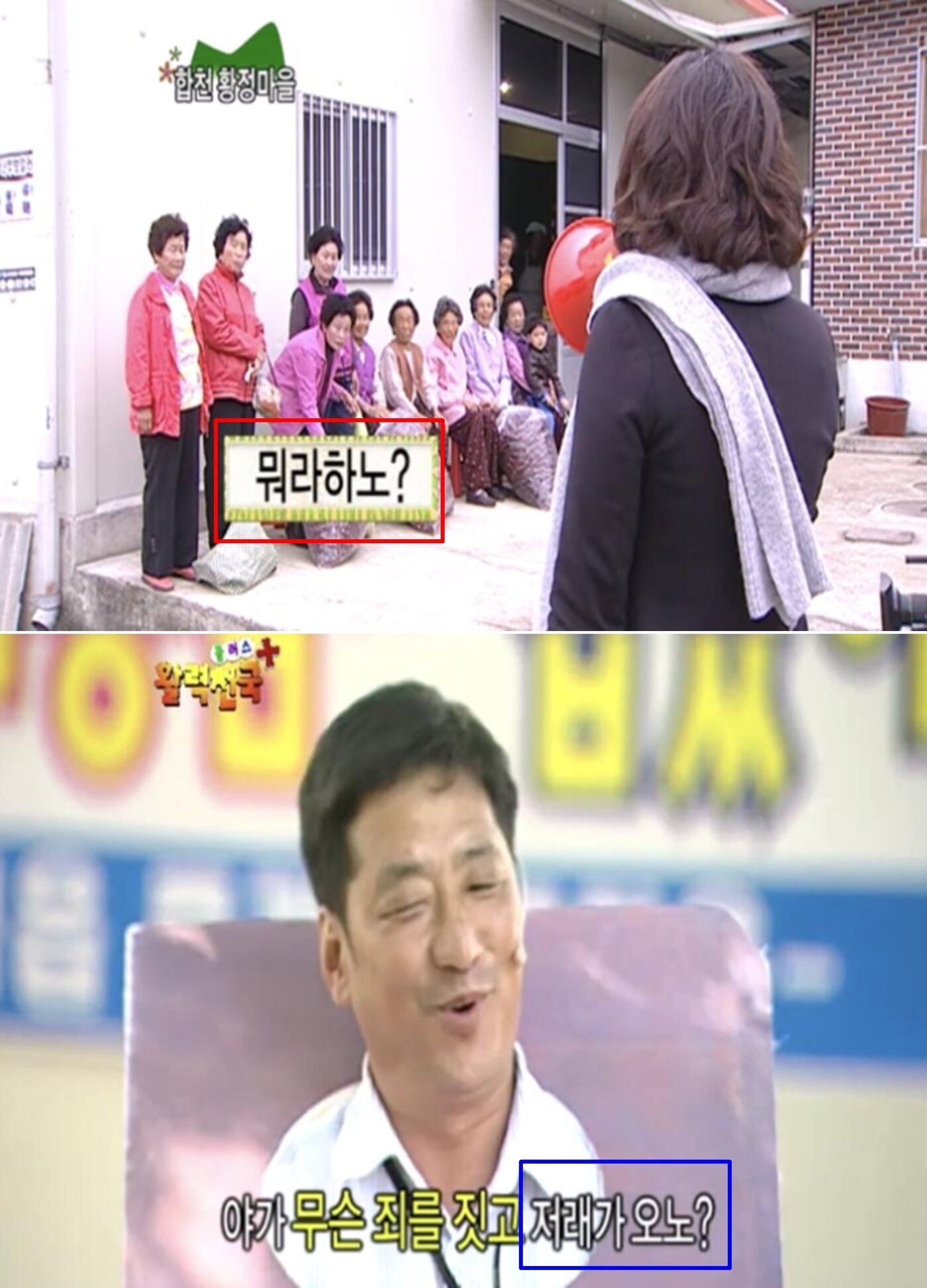 본문 이미지 - MBC 지역 프로그램 '얍! 활력천국'