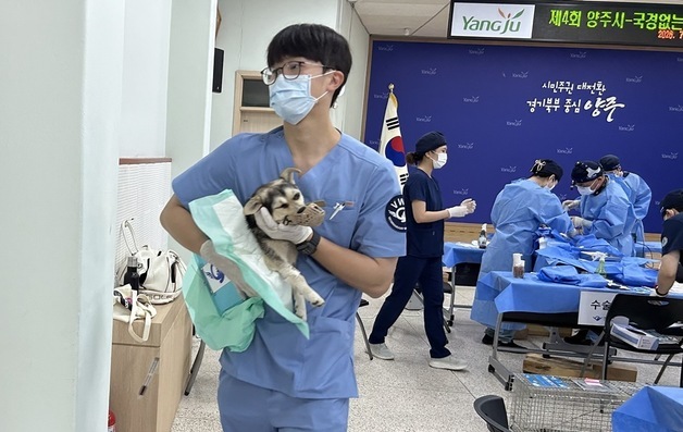 양주시·국경없는수의사회, 45마리 중성화…동물복지 협력 4년째