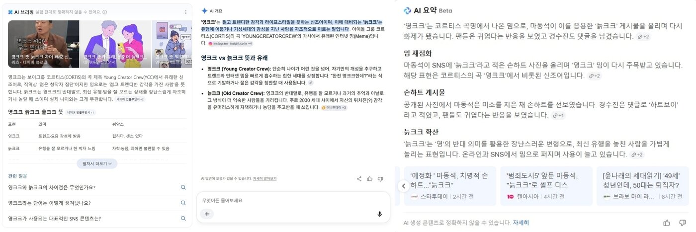본문 이미지 - 회사별 AI 요약·브리핑. (왼쪽부터)네이버, 구글, 다음/뉴스1 김정현 기자