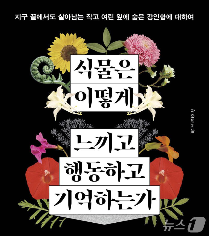 본문 이미지 - [신간] '식물은 어떻게 느끼고 행동하고 기억하는가'