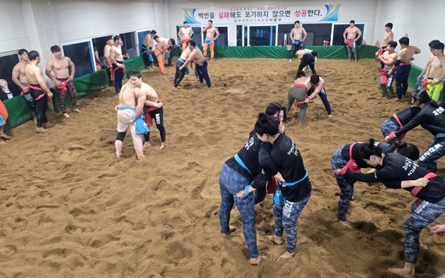 괴산군, 상반기 전지훈련 유치 경제효과 6억원…전년 실적 2배