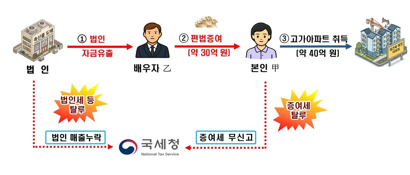 본문 이미지 - (국세청 제공)