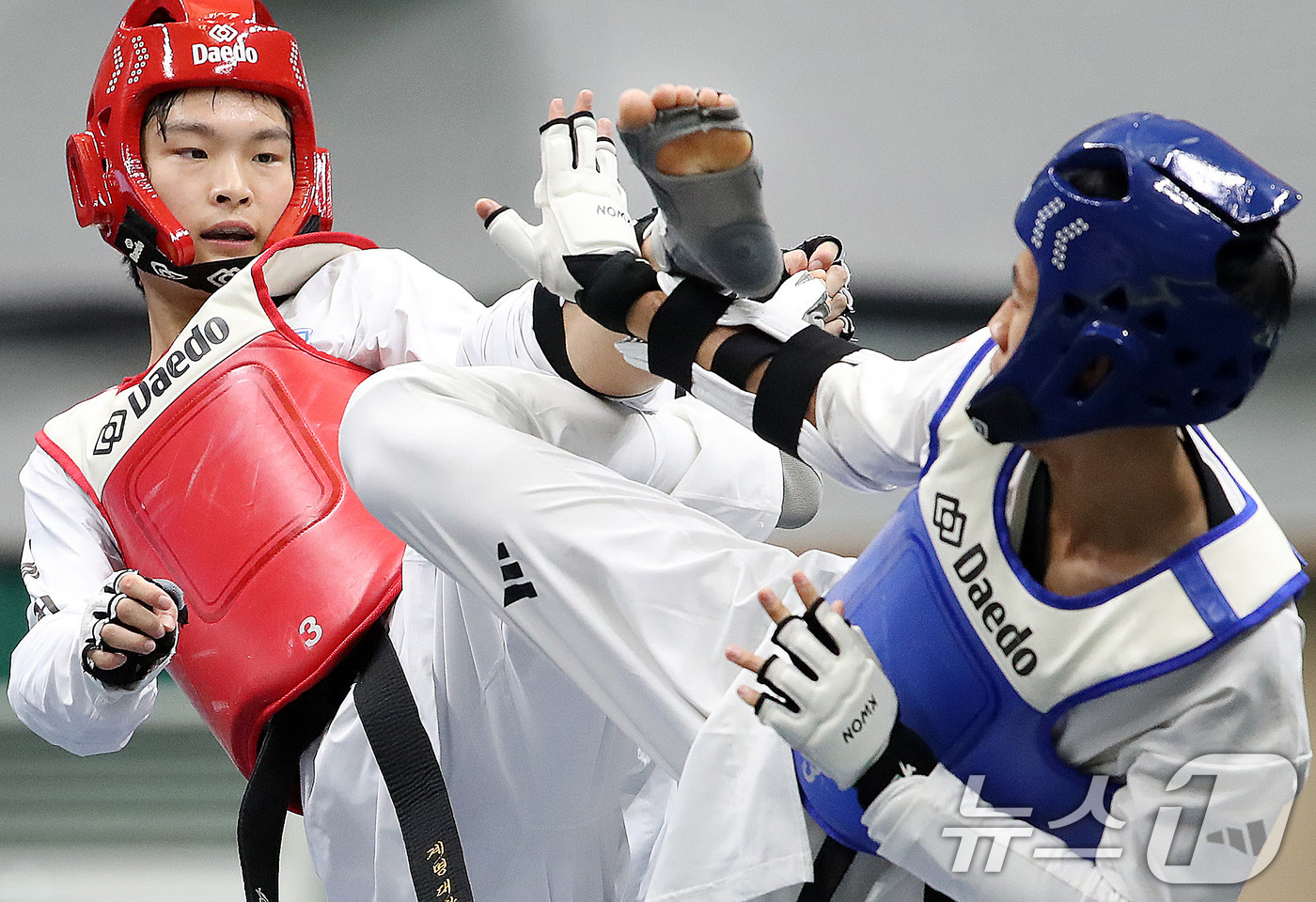 (대구=뉴스1) 공정식 기자 = 7일 대구 달서구 계명대 성서캠퍼스에서 열린 '대구 2026 세계대학태권도페스티벌' 겨루기 종목에 출전한 선수들이 접전을 펼치고 있다. 2026.7 …
