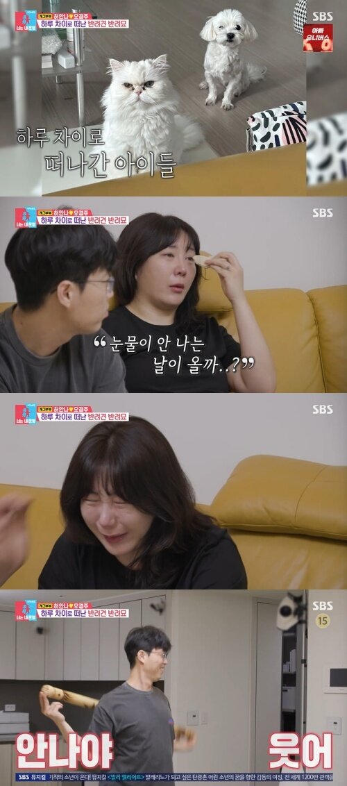 본문 이미지 - SBS '동상이몽2' 화면 캡처