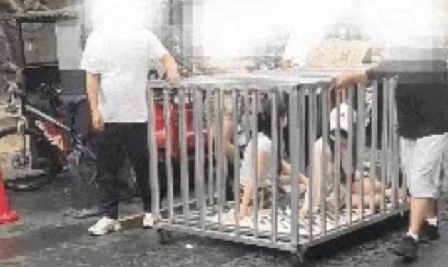 불륜녀 2명 '돼지우리' 가둬 거리 행진…"공개 모욕" 경찰 조사 결과는?[영상]