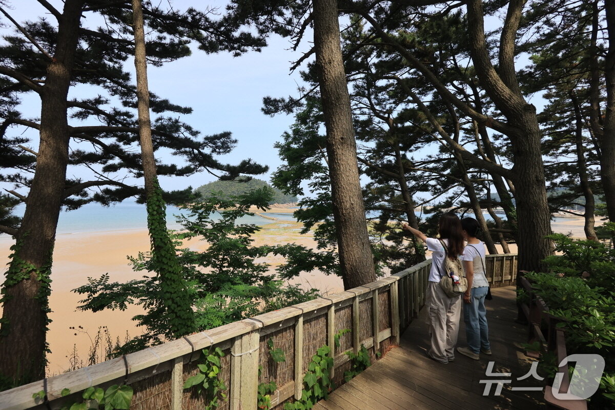 본문 이미지 - 천리포수목원을 찾은 탐방객이 바다가 내려다보이는 수목원 산책로를 걷고 있다.(수목원 제공. 재판매 및 DB금지)/뉴스1