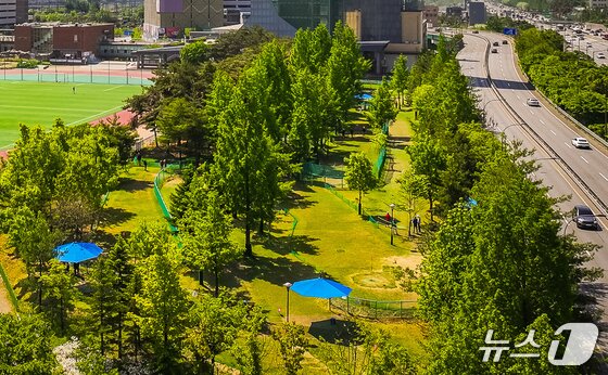 본문 이미지 - 수지구 용인아르피아 파크골프장 전경.(용인시 제공)