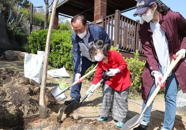 마포구, 신촌로터리에 500만 그루 나무심기 재개