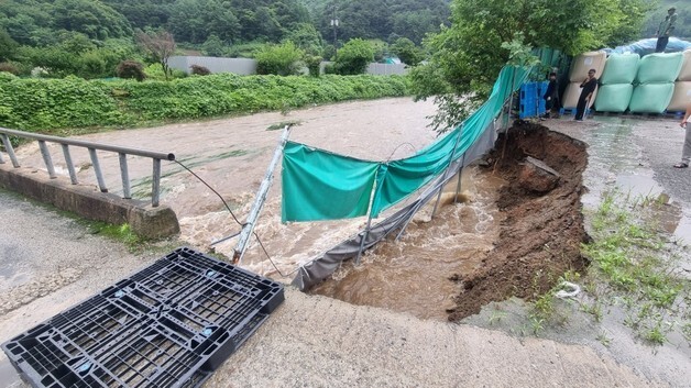 충북 밤사이 '223㎜ 폭우'…청주 수석천 범람 등 피해 속출