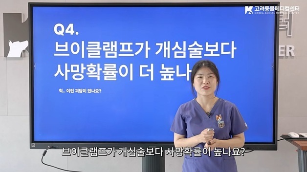 "개심술보다 위험하다?"…강아지 심장병 브이클램프 둘러싼 오해