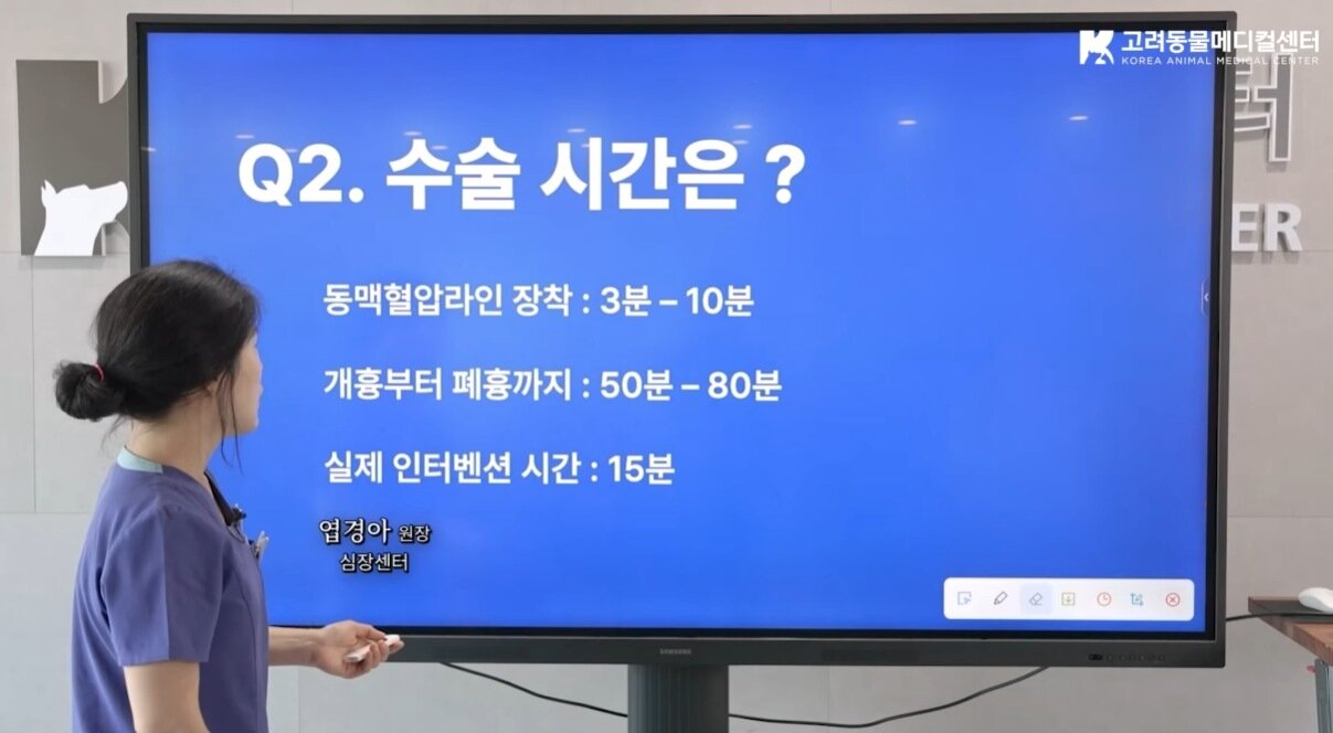 본문 이미지 - 엽경아 고려동물메디컬센터 심장센터장이 유튜브를 통해 브이클램프에 대한 정보를 전하고 있다(유튜브 갈무리). ⓒ 뉴스1