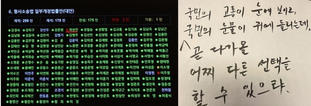 "국민 고통 보여 반대" 곽상언에 '장인 욕보여' '2찍' 與 강성층 비난
