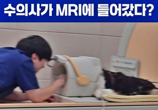 "둘만의 공간에서 사심 채우는 수의사"…MRI 무마취에 담긴 진심