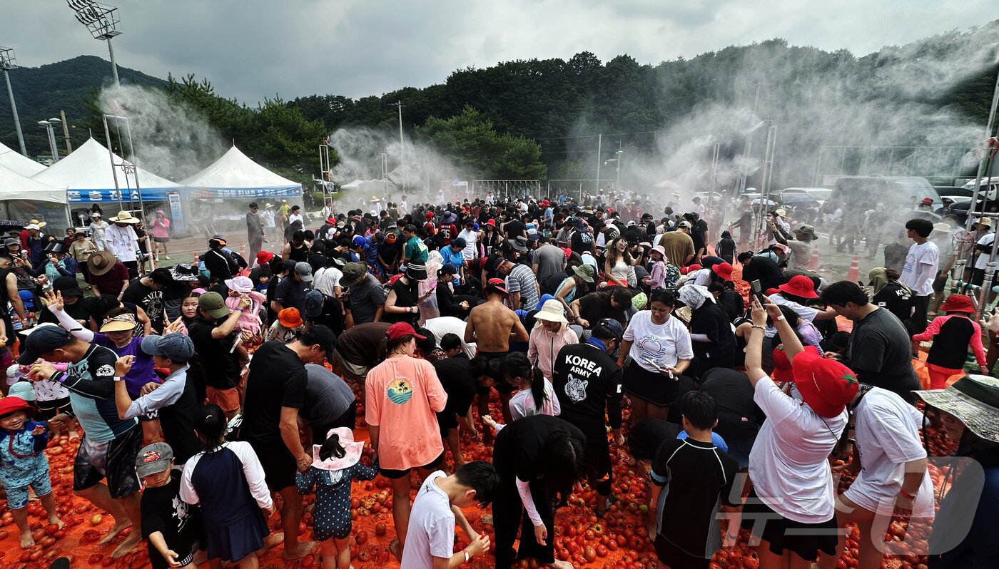 본문 이미지 - 2026 화천토마토축제 이틀째인 1일 화천 사내면 사내체육공원에서 '황금반지를 찾아라' 이벤트에 참여한 관광객들이 토마토 속에 숨겨진 금반지를 찾고 있다.(화천군 제공, 재판매 및 DB금지) 2026.8.1 /뉴스1 
