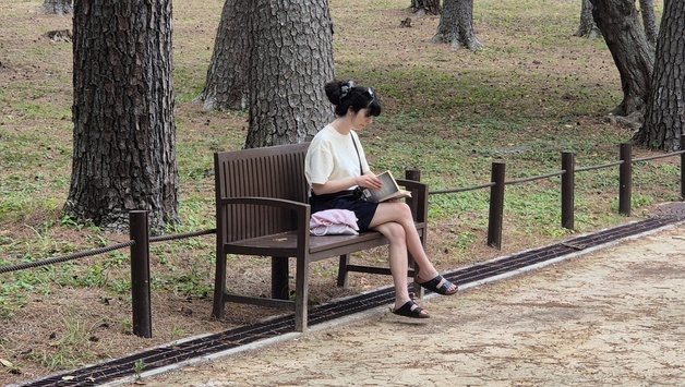 "마치 가을 온 듯"…폭염 꺾인 울산, 외출 시민들로 모처럼 '활기'