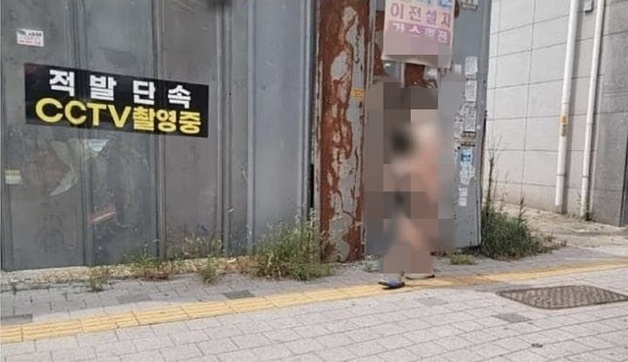 전자발찌 차고 대낮 도심 알몸 활보…출소 5개월 50대 현행범 체포