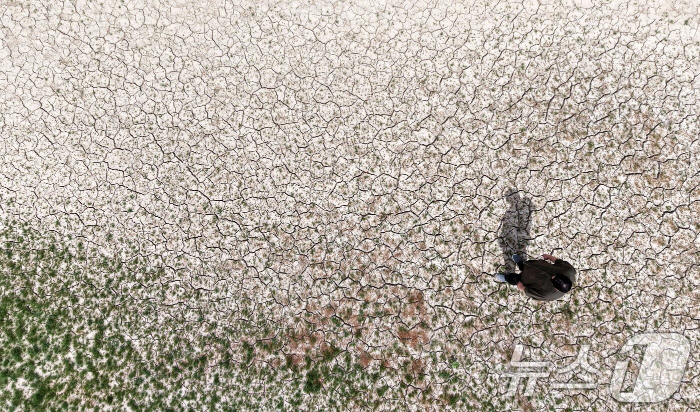 본문 이미지 - 경남 밀양에 폭염·가뭄이 장기화되고 있는 11일 밀양시 초동면 봉황리 와지저수지 바닥이 메마른 채 갈라져 있다. 2026.8.11 ⓒ 뉴스1 윤일지 기자