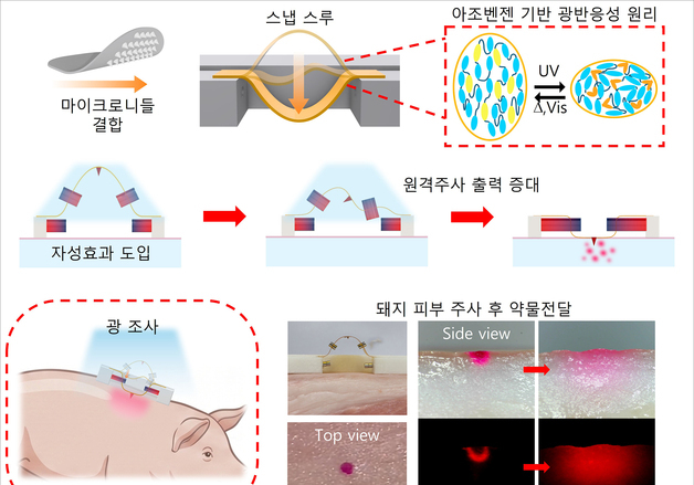 빛으로 움직이는 미세 바늘…부경대, 피부 삽입 기술 개발