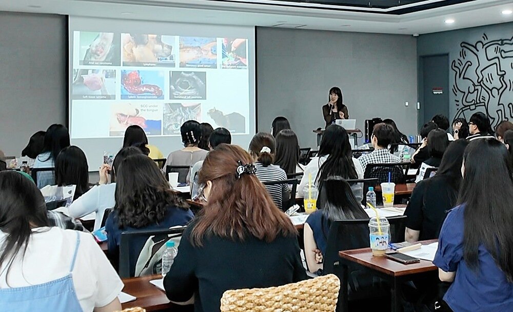 본문 이미지 - 한세명 세명대 교수가 2026 동물보건사 전문역량 강화 교육에서 강의하고 있다(병원 제공). ⓒ 뉴스1