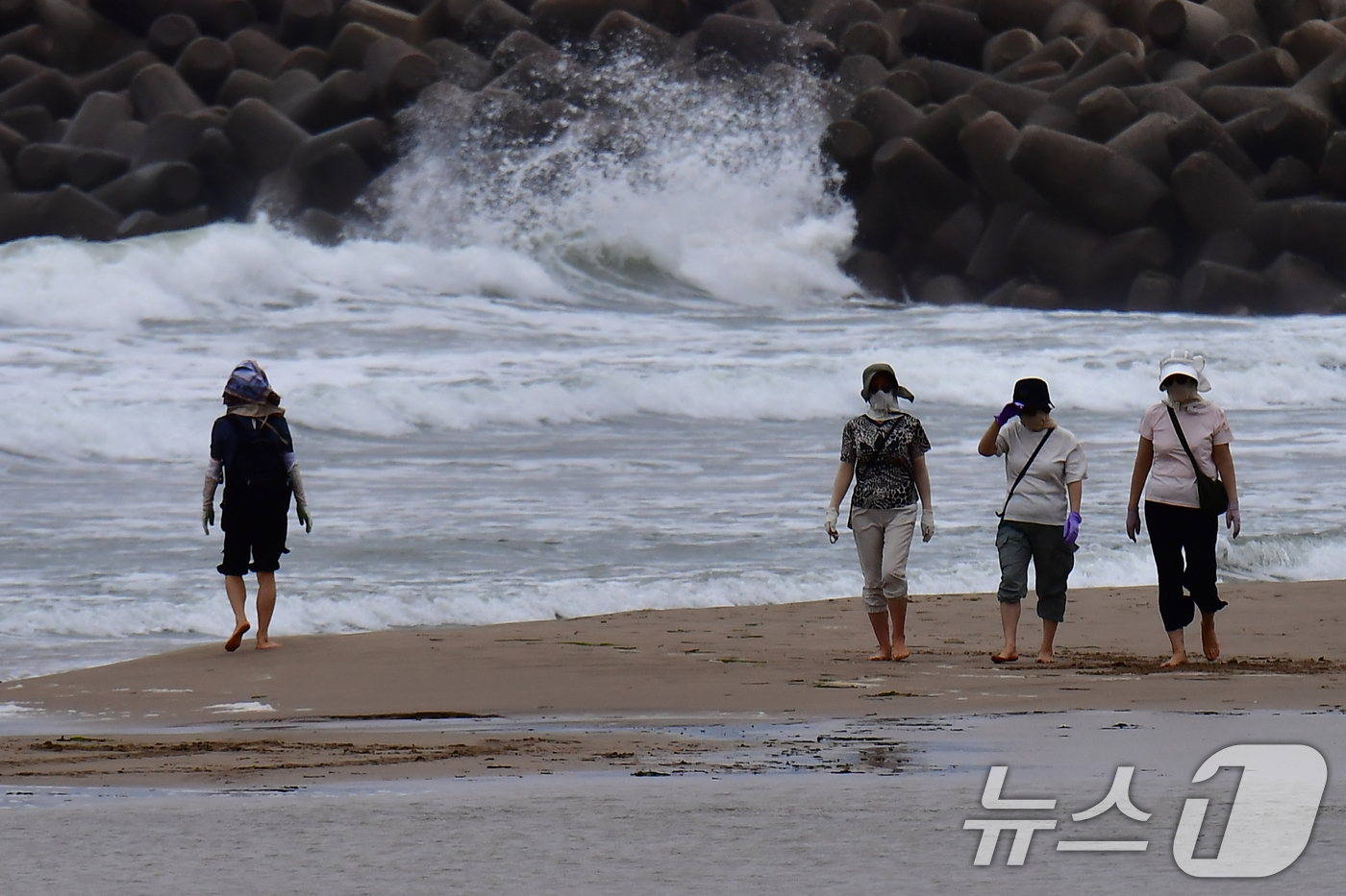 (포항=뉴스1) 최창호 기자 = 12일 오전 제15호 태풍 찬홈의 영향으로 경북 포항시 북구 영일대해수욕장 백사장으로 높은 파도가 밀려들고 있다. 2026.8.12/뉴스1