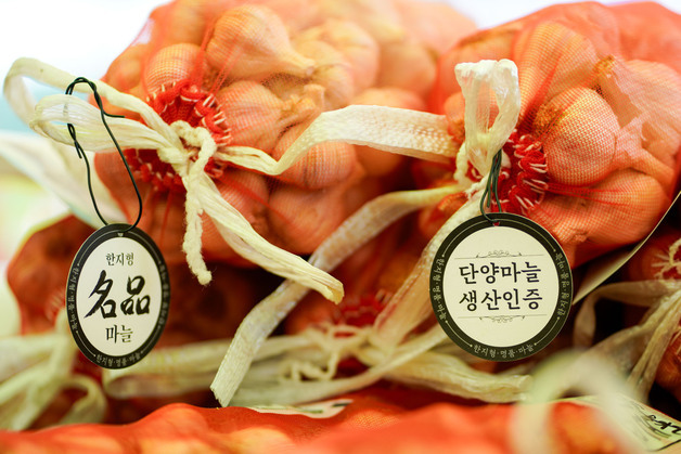단양 한지형 황토마늘, 공영홈쇼핑서 전국 안방시장 공략