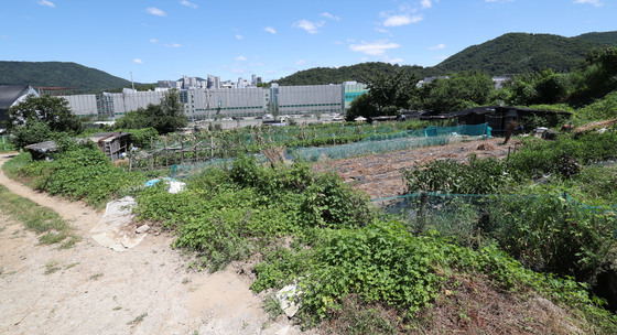 서리풀1지구 지구계획 승인 절차 돌입