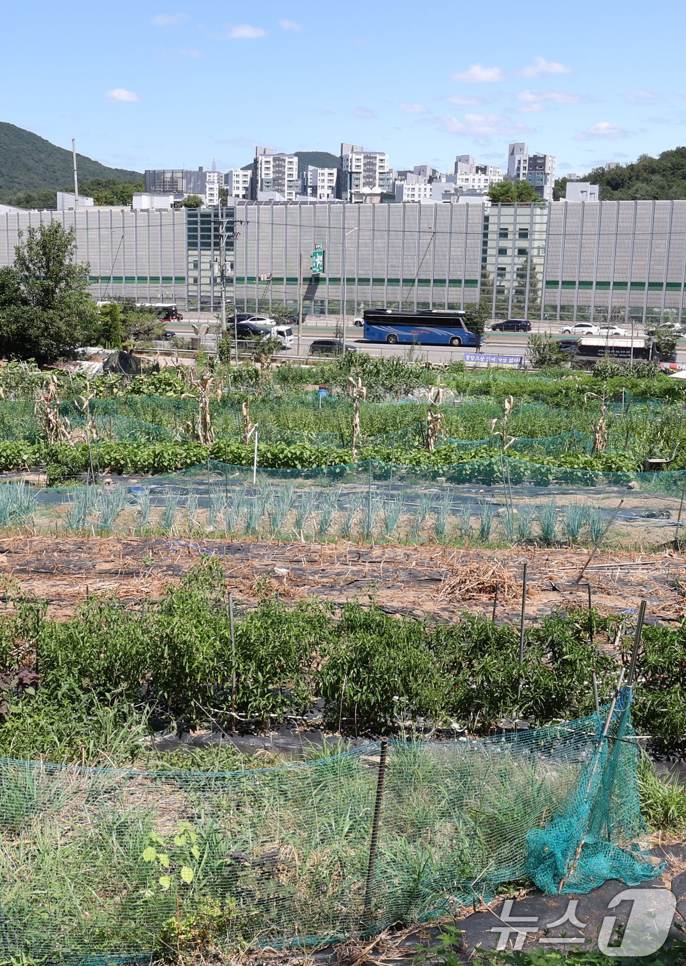 (서울=뉴스1) 이종수 기자 = 강남권에 1만 8000가구를 공급하는 서리풀1지구가 지구계획 승인 절차에 돌입했다. 12일 부동산 업계에 따르면 한국토지주택공사(LH)는 최근 국토 …