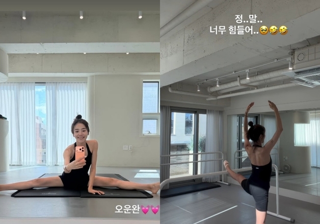 손담비, 180도 다리찢기 거뜬…발레로 만든 탄탄 등근육 [N샷]