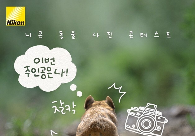 니콘이미징코리아, 동물 사진 콘테스트 '니콘 동물대소동' 개최