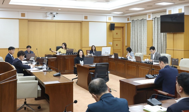 대전시의회 행자위, 조직개편안 가결…여성단체 "성평등복지국으로 답하라"