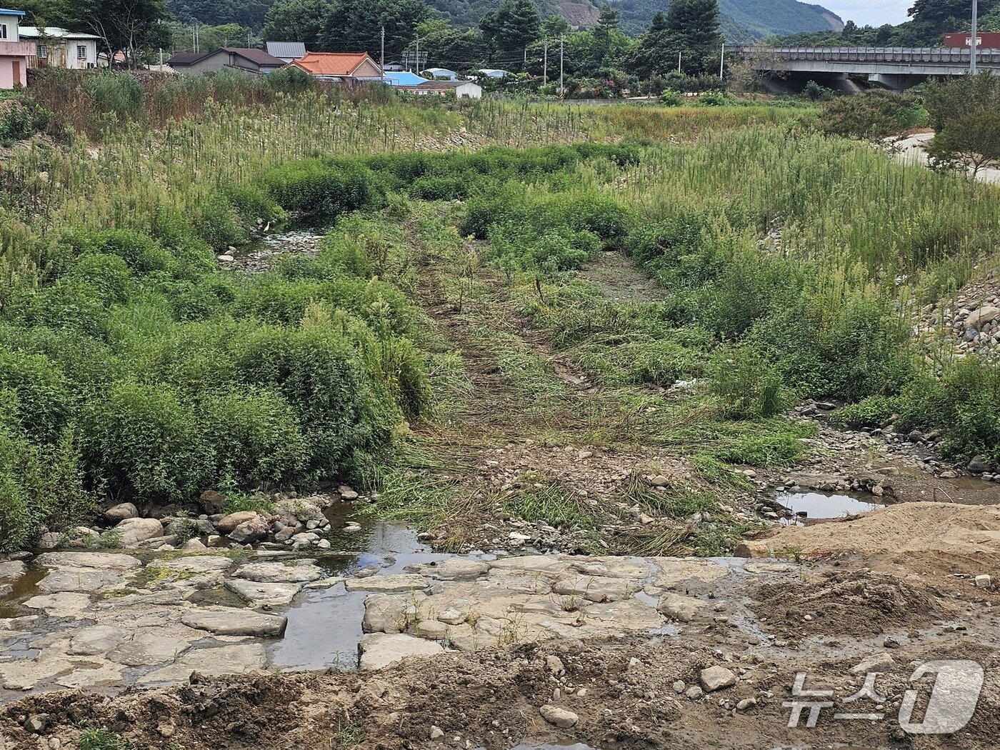 본문 이미지 - 산청군 산청읍 묵곡리의 한 하천이 오랜 가뭄으로 바닥을 드러내고 있다. 2026.8.13/뉴스1 한송학기자