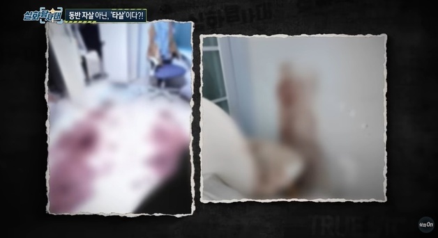 "만삭 아내, 다리 절단된 채 추락"…의정부 일가족 사건, 익명 제보 '충격'