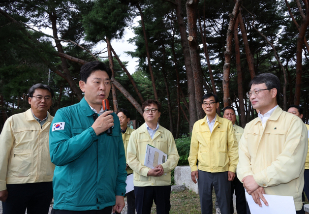 재선충병 확산에 포항 3년 만에 항공방제 재개