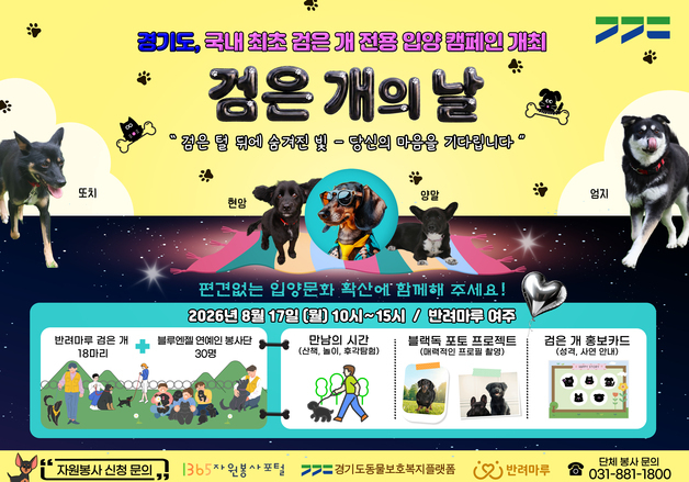 "검은 털이 어때서"…경기도, 17일 '검은 개의 날' 입양 캠페인