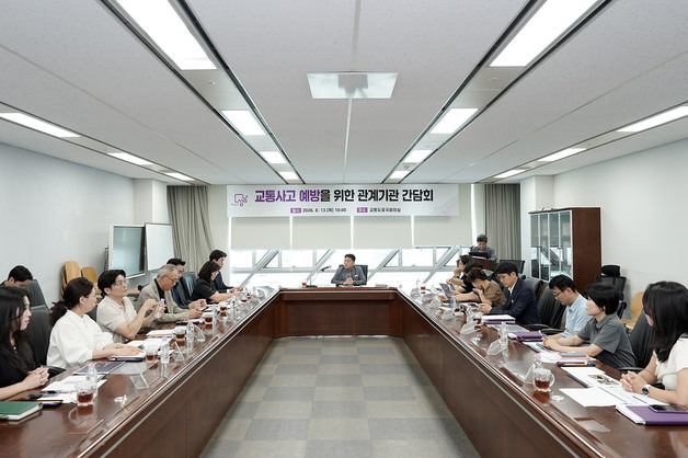 교통사고 없는 성남시 되려면…'정자역 사망사고' 후속 대책 논의
